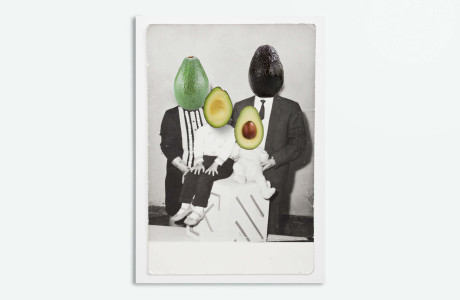 AVOCADO FAMILY